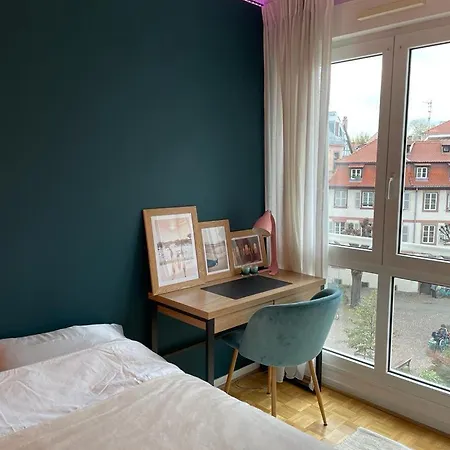 Appartement - Strasbourg Krutenau Buitenkant foto
